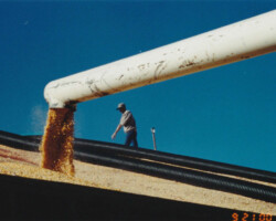 Photo from 2000 of Farmers Coop Exchange Employee unloading grain