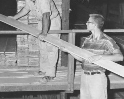 Photo of Farmers Coop Exchange Pella Employees working in the lumberyard in 1968