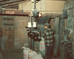 Photo of Farmer's Union Coop Pella Feed Mill Bagging in 1951